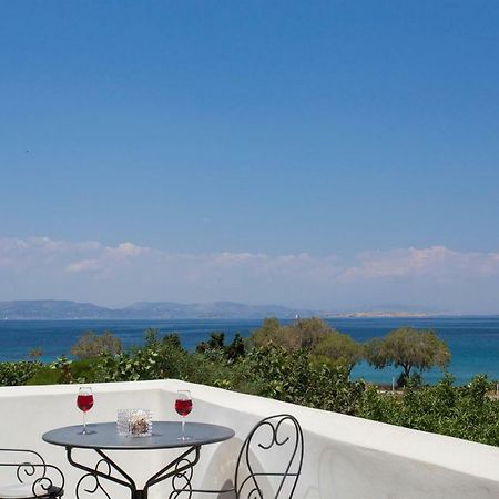 Aneli Luxury Villas-Villa Aegina Екстер'єр фото
