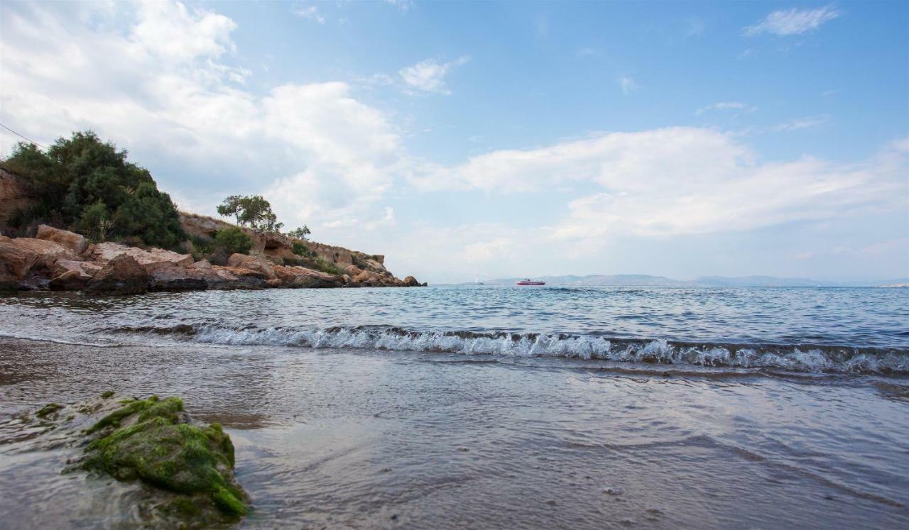 Aneli Luxury Villas-Villa Aegina Екстер'єр фото